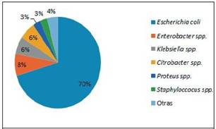 Resultados de Urocultivos de San Pedro Sula y El Progreso, Honduras, de febrero a junio 2014 (n= 602) E. coli fue el uropat&oacute;geno mayormente aislado en dos de las ciudades mas densamente pobladas de Honduras.