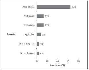 Distribuci&oacute;n de los personas seg&uacute;n ocupaci&oacute;n en el EBAIS de San Isidro de Atenas, durante el periodo 2010-2013.