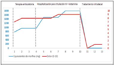 Evoluci&oacute;n diaria de la dosis equivalente de morfina y la evaluaci&oacute;n del dolor