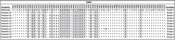 Alineamiento múltiple de secuencias de aminoácidos deducidas a partir de la secuencia de los codones 441-511 del gen para la glicoproteína B (gB) de HCMV, obtenidas a partir de muestras de sangre de los 10 pacientes positivos por HCMV y con una carga viral superior a 1000 copias/mL, periodo de septiembre del 2015 a septiembre del 2016, Servicio de Nefrología y Servicio de Hematología del Hospital San Juan de Dios, Caja Costarricense de Seguro Social.