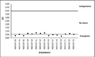 Efecto de la concentración inhibitoria fraccionada (CIF) de terbinafina e itraconazol combinados sobre aislamientos clínicos de N. dimidiatum (n=15)