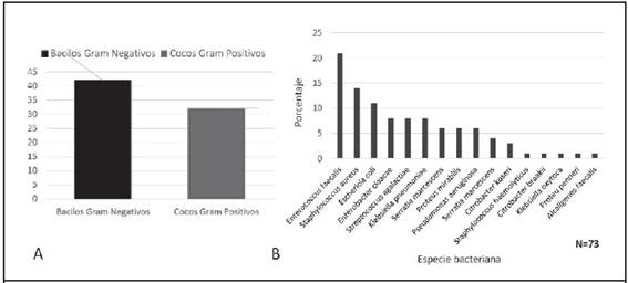Distribuci&oacute;n de frecuencias de las bacterias aisladas de las muestras &oacute;seas de los pacientes con OPD en el 2018. En A) se describen las frecuencias seg&uacute;n morfolog&iacute;a de Tinci&oacute;n de Gram y en B) se desglosa la distribuci&oacute;n total de las 75 especies bacterianas aisladas.
