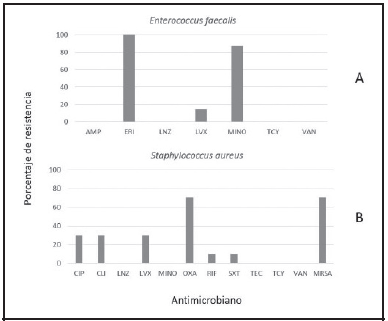 Perfil de resistencia de los principales cocos Gram positivos aislados de muestras &oacute;seas de OPD en el a&ntilde;o 2018. En A) se muestra en perfil para 15 aislamientos de Enterococcus faecalis y en B) el perfil para 10 aislamientos de Staphylococcus aureus junto con las cepas con fenotipo SAMR.