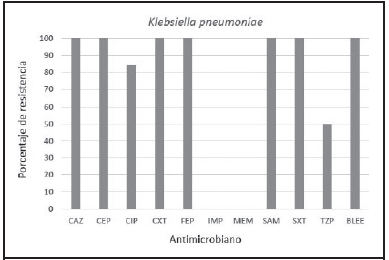Perfil de resistencia de 6 aislamientos de Klebsiella pneumoniae y porcentaje de cepas portadoras de mecanismo de resistencia tipo BLEE obtenidos en las muestras &oacute;seas de los pacientes con OPD en el a&ntilde;o 2018.