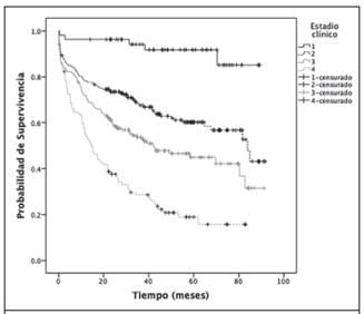 Probabilidad de supervivencia global seg&uacute;n el estadio cl&iacute;nico. Hubo diferencias estad&iacute;sticamente significativas en la supervivencia de los pacientes de acuerdo al estadio cl&iacute;nico. (Log-rank p<0.001)