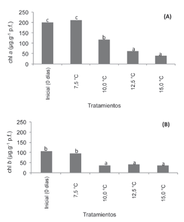 Contenido promedio de clorofila en cáscaras de frutos de piña almacenados a diferentes temperaturas. Letras distintas indican diferencias significativa según prueba de Tukey (p= 0,05). Clorofila a (A) Clorofila b (B).