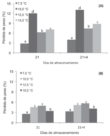 Pérdida de peso (%) de frutos de piña almacenados a diferentes temperaturas. Experimento 1 (A) y Experimento 2 (B). Letras distintas indican diferencias significativas según prueba de Tukey (p= 0,05).