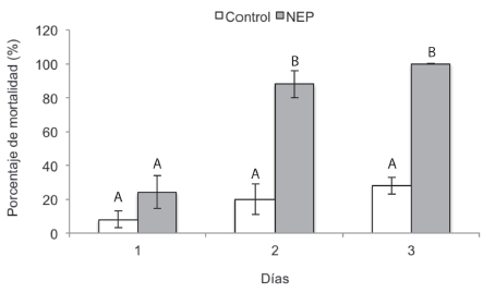 Porcentaje de mortalidad de larvas de C. sordidus expuestos a Heterorhabditis atacamensis CIA-NE07. Barras con letras diferentes implican diferencias estadísticamente significativas según LSD p<0,05.