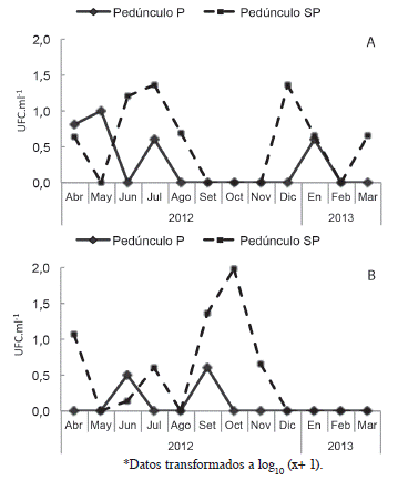 Promedio mensual de UFC.ml-1 de hongos de la suspensi&oacute;n de ped&uacute;nculo de fruta reci&eacute;n cosechada, procesada (P) y sin procesar (SP), de las fincas de Puntarenas (A) y Sarapiqu&iacute; (B).
