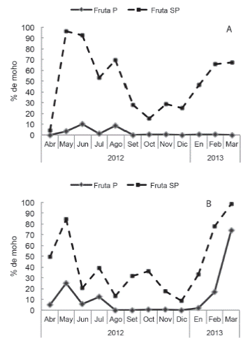 Porcentaje de moho en el ped&uacute;nculo de frutos de pi&ntilde;a procesada (P) y sin procesar (SP) de las fincas de Puntarenas (A) y Sarapiqu&iacute; (B), despu&eacute;s de 22 d&iacute;as de almacenamiento.