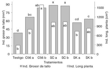Efecto de la aplicaci&oacute;n de enmiendas en el &Iacute;ndice de &aacute;rea bajo la curva en grosor de tallo y longitud de la planta de ma&iacute;z. *Medias seguidas por la misma letra no se consideran distintas seg&uacute;n prueba de d.m.s (α = 0,01).