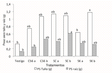 Efecto de la aplicaci&oacute;n de enmiendas en el peso seco de tallo y ra&iacute;z en ma&iacute;z.