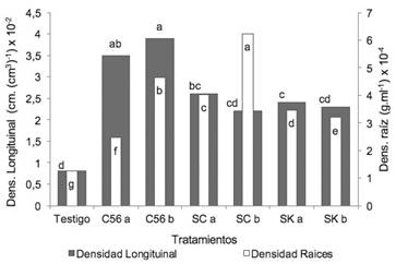 Efecto de la aplicaci&oacute;n de enmiendas en la densidad longitudinal y densidad de ra&iacute;z en ma&iacute;z.