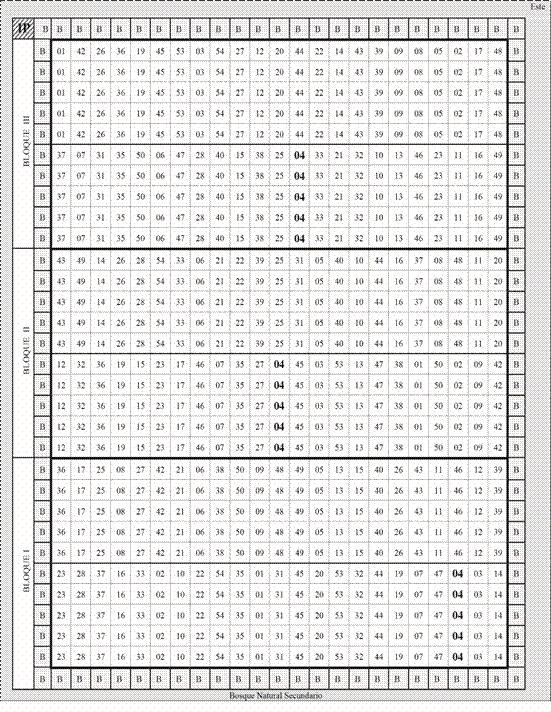 Diseño del Ensayo de Progenies Pachira quinata (Jacq.) W.S. Alverson.