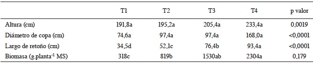 Medidas morfom&eacute;tricas y producci&oacute;n de biomasa del Sambucus nigra en 4 diferentes edades de corte.