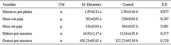 Experimento 4, influencia de los tratamientos en el comportamiento agroproductivo del cultivo del ma&iacute;z.
