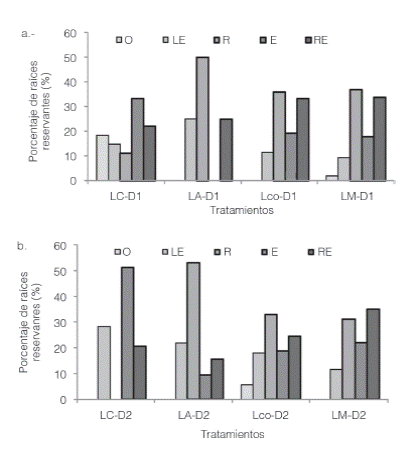Porcentaje de las formas de raíces tuberosas encontradas bajo los distintos tratamientos con D1 (a) y D2 (b).