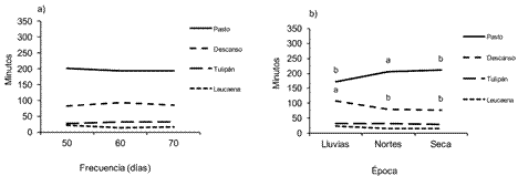 H&aacute;bitos alimenticios de los ovinos en el sistema silvopastoril.