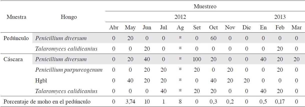 Frecuencia mensual de los principales hongos recuperados en el ped&uacute;nculo y la c&aacute;scara de frutos de pi&ntilde;a de la empacadora de Puntarenas.