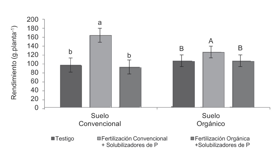 Efecto de la fertilización convencional y orgánica en combinación con solubilizadores de P en un suelo con manejo convencional y orgánico sobre la producción de papa.