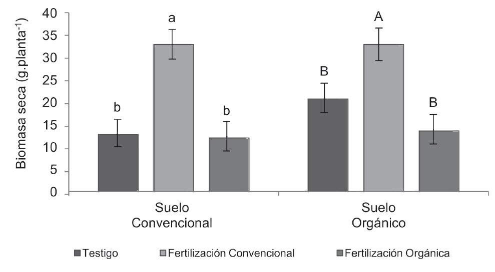 . Barras de error corresponden a la comparación general de datos. Efecto residual en el suelo, por fertilización convencional y orgánica sobre el desarrollo del maíz en un suelo con manejo convencional y orgánico.