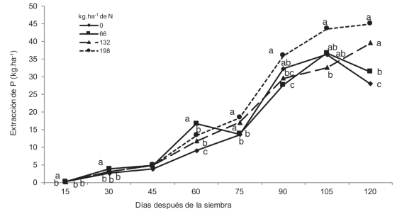 Absorci&oacute;n total de P en un h&iacute;brido promisorio de ma&iacute;z, bajo efecto de dosis crecientes de N, Patricia Pilar - Los R&iacute;os, Ecuador. 2015.