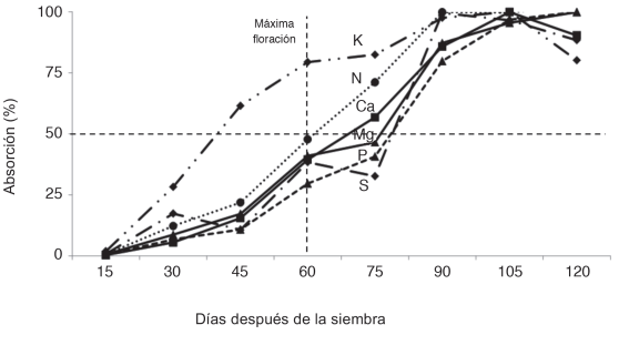 Acumulaci&oacute;n de MS, N, P, K, Ca, Mg y S, en la parte a&eacute;rea de plantas de un h&iacute;brido promisorio de ma&iacute;z con fertilizaci&oacute;n de 198 kg.ha-1 de N, Patricia Pilar - Los R&iacute;os, Ecuador. 2015.