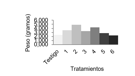 Peso seco de ra&iacute;z.