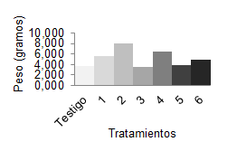 Peso seco de vainas con granos.