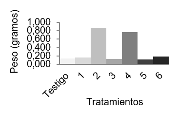 Peso seco de n&oacute;dulos.
