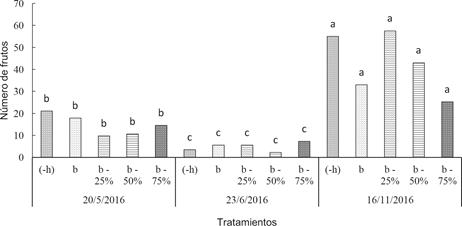 Frutos cosechados del clon CCN 51, en 3 épocas con 5 tratamientos de poda. (Letras distintas indican diferencias significativas entre las épocas de cosecha, prueba de Tukey, con confianza de 95%).