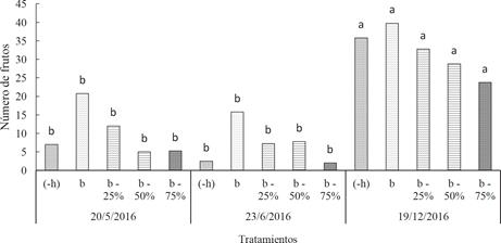 Frutos cosechados del clon ICS 95, en 3 épocas con 5 tratamientos de poda. (Letras distintas indican diferencias significativas entre las épocas de cosecha, prueba de Tukey, con confianza de 95%).