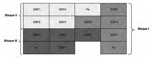 Distribuci&oacute;n de los tratamientos de sistemas silvopastoriles dentro del &aacute;rea experimental. 