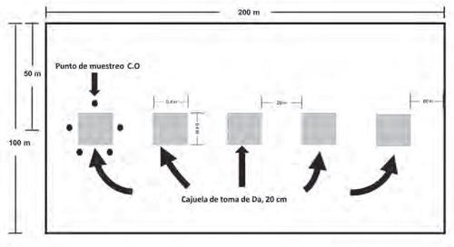 Distribuci&oacute;n de puntos de muestreo en cada parcela.