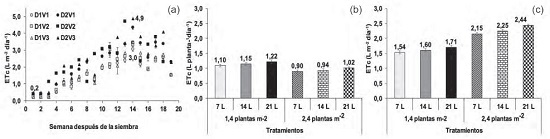 (a) Evolución de la evapotranspiración del cultivo (ETc) por tratamiento: promedio acumulado por semana. (b) Promedio general diario por planta. (c) Por área.