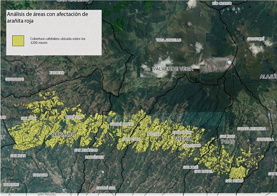 Estimaci&oacute;n de &aacute;rea afectada en diferentes grados por la ara&ntilde;ita roja entre enero y febrero de 2018.