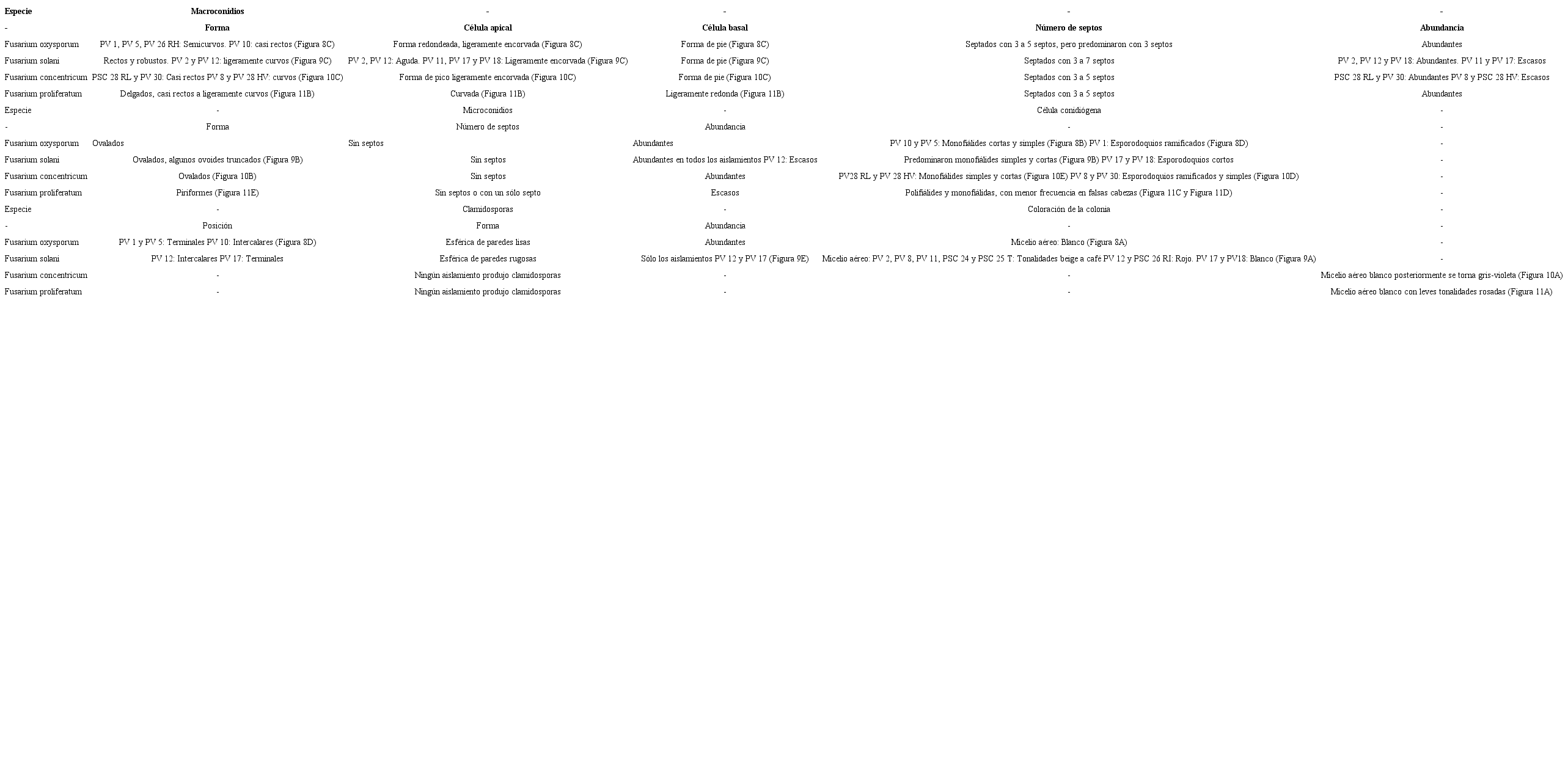 Caracter&iacute;sticas morfol&oacute;gicas de los macroconidios, los micronidios, las c&eacute;lulas conidi&oacute;genas, las clamidosporas y la coloraci&oacute;n de la colonia de las cuatro especies de Fusarium asociadas a plantas enfermas de pimienta negra, seg&uacute;n las claves taxon&oacute;micas de Booth (1971) y Leslie y Summerell (2006).