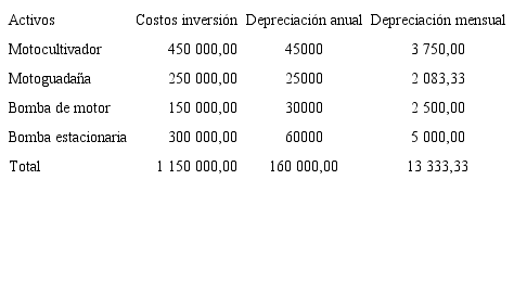 Inversi&oacute;n para la producci&oacute;n de lechuga org&aacute;nica en colones.