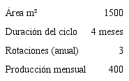 Especificaciones t&eacute;cnicas de la producci&oacute;n de br&oacute;coli org&aacute;nico.