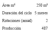 Especificaciones t&eacute;cnicas de la producci&oacute;n de zanahoria convencional.