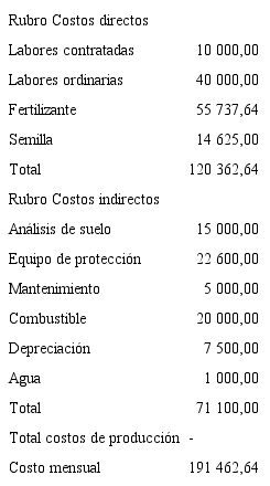 Costos directos e indirectos de zanahoria convencional en colones.