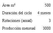 Especificaciones t&eacute;cnicas de la producci&oacute;n de apio convencional.