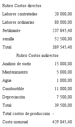 Costos directos e indirectos de apio convencional en colones.