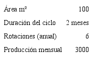 Especificaciones t&eacute;cnicas de la producci&oacute;n de culantro convencional.