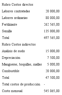 Costos directos e indirectos de papa convencional en colones.