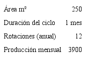 Especificaciones t&eacute;cnicas de la producci&oacute;n de lechuga convencional.
