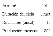 Especificaciones t&eacute;cnicas de la producci&oacute;n de br&oacute;coli convencional.