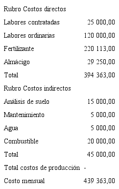 Costos directos e indirectos de br&oacute;coli convencional en colones.