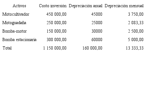 Inversi&oacute;n en colones para la producci&oacute;n de zanahoria org&aacute;nica.