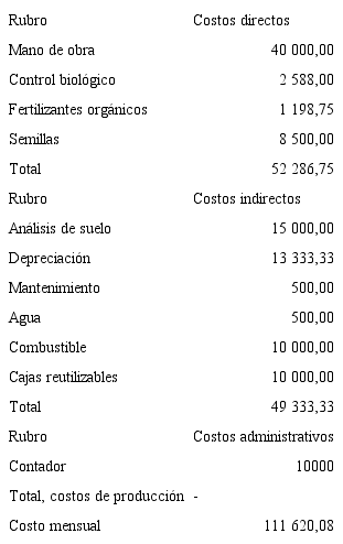 Costos directos, indirectos, administrativos de zanahoria org&aacute;nica en colones. 